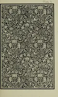 An illustration from The anatomy of pattern (1894)