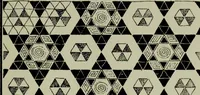 Picture 5 of 38 from The anatomy of pattern (1894), leaf 38