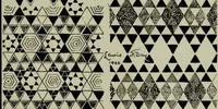 Picture 6 of 38 from The anatomy of pattern (1894), leaf 38