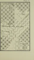 Picture 15 of 38 from The anatomy of pattern (1894), leaf 66