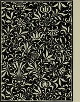 An illustration from The anatomy of pattern (1894)