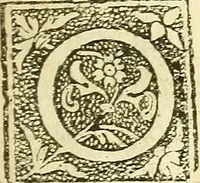 An illustration from The anatomy of vegetables begun : with a general account of vegetation founded thereon (1672)