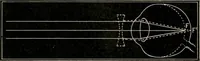An illustration from Anatomy and physiology of the eye, with hints for the preservation of the eyesight (1901)