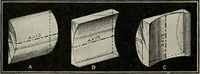 An illustration from Anatomy and physiology of the eye, with hints for the preservation of the eyesight (1901)