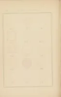 An illustration from Ancien Japon (1888)