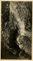 An illustration from An ancient Algonkian fishing vilage at Cayuga, New York (1919)