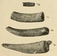 An illustration from An ancient Algonkian fishing vilage at Cayuga, New York (1919)