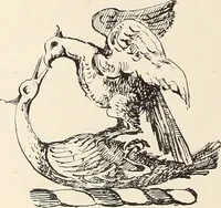 Picture 232 of 318 from Ancient castles and mansions of Stirling nobility / described and illustrated by J.S. Fleming (1902), leaf 349