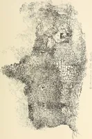 Picture 247 of 318 from Ancient castles and mansions of Stirling nobility / described and illustrated by J.S. Fleming (1902), leaf 370