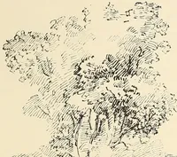 Picture 318 of 318 from Ancient castles and mansions of Stirling nobility / described and illustrated by J.S. Fleming (1902), leaf 480