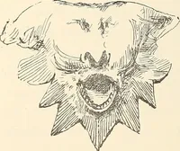 Picture 47 of 318 from Ancient castles and mansions of Stirling nobility / described and illustrated by J.S. Fleming (1902), leaf 79