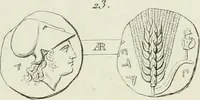 An illustration from Ancient coins of Greek cities and kings. From various collections principally in Great Britain; (1831)