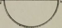 An illustration from Ancient Egyptian, Assyrian, and Persian costumes and decorations (1920)