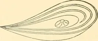 Picture 4 of 42 from Ancient faiths embodied in ancient names; or, An attempt to trace the religious belief, sacred rites, and holy emblems of certain nations (1873), leaf 243