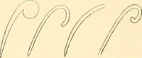 An illustration from Ancient faiths embodied in ancient names; or, An attempt to trace the religious belief, sacred rites, and holy emblems of certain nations (1873)
