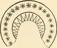An illustration from Ancient faiths embodied in ancient names; or, An attempt to trace the religious belief, sacred rites, and holy emblems of certain nations (1873)
