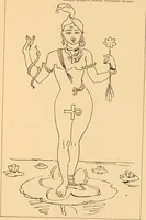 Picture 39 of 44 from Ancient faiths embodied in ancient names; or, An attempt to trace the religious belief, sacred rites, and holy emblems of certain nations (1868), leaf 1000