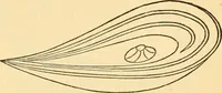 An illustration from Ancient faiths embodied in ancient names; or, An attempt to trace the religious belief, sacred rites, and holy emblems of certain nations (1868)