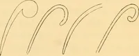 An illustration from Ancient faiths embodied in ancient names; or, An attempt to trace the religious belief, sacred rites, and holy emblems of certain nations (1868)