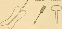 Picture 24 of 44 from Ancient faiths embodied in ancient names; or, An attempt to trace the religious belief, sacred rites, and holy emblems of certain nations (1868), leaf 548
