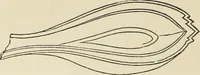 An illustration from Ancient faiths embodied in ancient names: or, An attempt to trace the religious belief, sacred rites, and holy emblems of certain nations, by an interpretation of the names given to children by priestly authority, or assumed by prophets, kings, and hierarchs (1872)