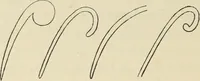 An illustration from Ancient faiths embodied in ancient names: or, An attempt to trace the religious belief, sacred rites, and holy emblems of certain nations, by an interpretation of the names given to children by priestly authority, or assumed by prophets, kings, and hierarchs (1872)