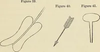 Picture 20 of 52 from Ancient faiths embodied in ancient names: or, An attempt to trace the religious belief, sacred rites, and holy emblems of certain nations, by an interpretation of the names given to children by priestly authority, or assumed by prophets, kings, and hierarchs (1872), leaf 508