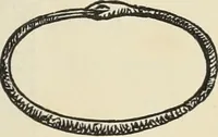An illustration from Ancient faiths embodied in ancient names: or, An attempt to trace the religious belief, sacred rites, and holy emblems of certain nations, by an interpretation of the names given to children by priestly authority, or assumed by prophets, kings, and hierarchs (1872)