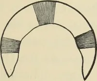 An illustration from Ancient faiths embodied in ancient names: or, An attempt to trace the religious belief, sacred rites, and holy emblems of certain nations, by an interpretation of the names given to children by priestly authority, or assumed by prophets, kings, and hierarchs (1872)