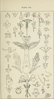 Picture 52 of 52 from Ancient faiths embodied in ancient names: or, An attempt to trace the religious belief, sacred rites, and holy emblems of certain nations, by an interpretation of the names given to children by priestly authority, or assumed by prophets, kings, and hierarchs (1872), leaf 974