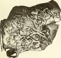 Picture 13 of 168 from Ancient Greece : a sketch of its art, literature & philosophy viewed in connexion with its external history from earliest times to the age of Alexander the Great (1915), leaf 50
