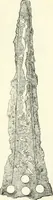Picture 17 of 168 from Ancient Greece : a sketch of its art, literature & philosophy viewed in connexion with its external history from earliest times to the age of Alexander the Great (1915), leaf 56