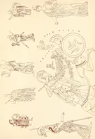 Picture 114 of 176 from Ancient Greek female costume : illustrated by one hundred and twelve plates and numerous smaller illustrations ; with descriptive letterpress and descriptive passages from the works of Homer, Hesiod, Herodotus, Aeschylus, Euripides, Aristophanes, Theocritus, Xenophon, Lucian, and other Greek authors (1882), leaf 236