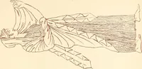 An illustration from Ancient Greek female costume : illustrated by one hundred and twelve plates and numerous smaller illustrations ; with descriptive letterpress and descriptive passages from the works of Homer, Hesiod, Herodotus, Aeschylus, Euripides, Aristophanes, Theocritus, Xenophon, Lucian, and other Greek authors (1882)