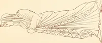 An illustration from Ancient Greek female costume : illustrated by one hundred and twelve plates and numerous smaller illustrations ; with descriptive letterpress and descriptive passages from the works of Homer, Hesiod, Herodotus, Aeschylus, Euripides, Aristophanes, Theocritus, Xenophon, Lucian, and other Greek authors (1882)