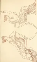 Picture 160 of 176 from Ancient Greek female costume : illustrated by one hundred and twelve plates and numerous smaller illustrations ; with descriptive letterpress and descriptive passages from the works of Homer, Hesiod, Herodotus, Aeschylus, Euripides, Aristophanes, Theocritus, Xenophon, Lucian, and other Greek authors (1882), leaf 290
