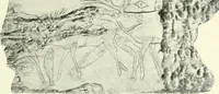 An illustration from Ancient and medieval art : a short history (1914)