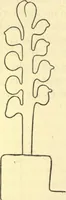 An illustration from Ancient pagan and modern Christian symbolism. With an essay on Baal worship, on the Assyrian sacred "grove" and other allied symbols by John Newton (1875)