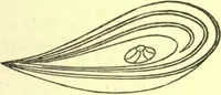 An illustration from Ancient pagan and modern Christian symbolism. With an essay on Baal worship, on the Assyrian sacred "grove" and other allied symbols by John Newton (1875)