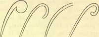Picture 95 of 123 from Ancient pagan and modern Christian symbolism. With an essay on Baal worship, on the Assyrian sacred "grove" and other allied symbols by John Newton (1875), leaf 163