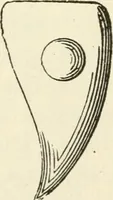 An illustration from Ancient pagan and modern Christian symbolism (1874)
