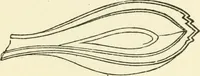 An illustration from Ancient pagan and modern Christian symbolism (1874)