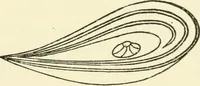 Picture 82 of 127 from Ancient pagan and modern Christian symbolism (1874), leaf 136