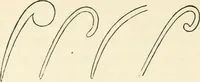 Picture 95 of 127 from Ancient pagan and modern Christian symbolism (1874), leaf 147