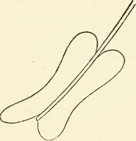 Picture 96 of 127 from Ancient pagan and modern Christian symbolism (1874), leaf 147
