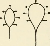 Picture 103 of 127 from Ancient pagan and modern Christian symbolism (1874), leaf 159