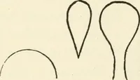 Picture 104 of 127 from Ancient pagan and modern Christian symbolism (1874), leaf 159