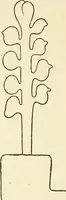 Picture 30 of 127 from Ancient pagan and modern Christian symbolism (1874), leaf 85