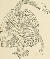 An illustration from The ancient sepulchral effigies and monumental and memorial sculpture of Devon (1877)