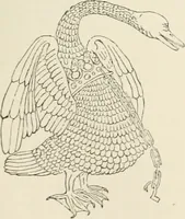 Picture 44 of 302 from The ancient sepulchral effigies and monumental and memorial sculpture of Devon (1877), leaf 166